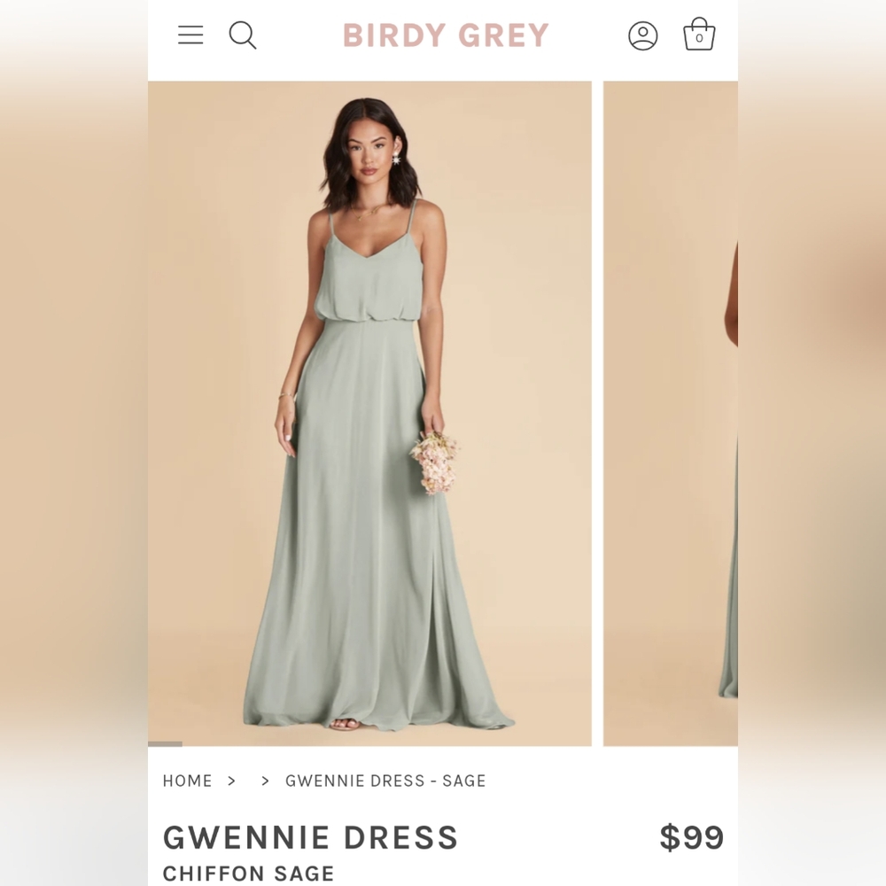 Birdy Grey Gwennie Dress Chiffon Sage